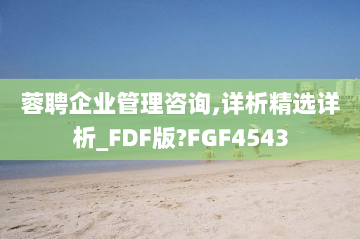 蓉聘企业管理咨询,详析精选详析_FDF版?FGF4543