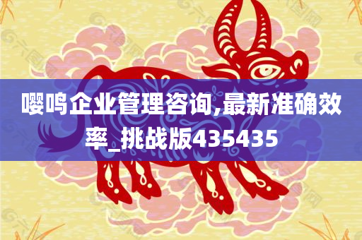 嘤鸣企业管理咨询,最新准确效率_挑战版435435