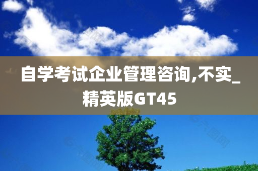 自学考试企业管理咨询,不实_精英版GT45