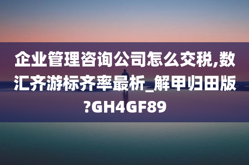 企业管理咨询公司怎么交税,数汇齐游标齐率最析_解甲归田版?GH4GF89