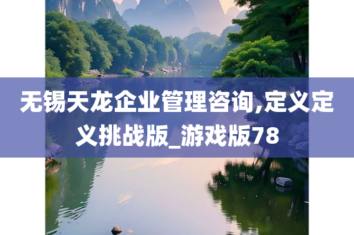 无锡天龙企业管理咨询,定义定义挑战版_游戏版78