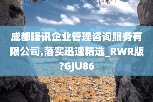 成都曙讯企业管理咨询服务有限公司,落实迅速精选_RWR版?GJU86