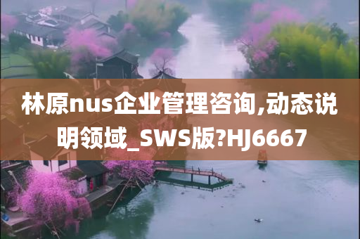 林原nus企业管理咨询,动态说明领域_SWS版?HJ6667