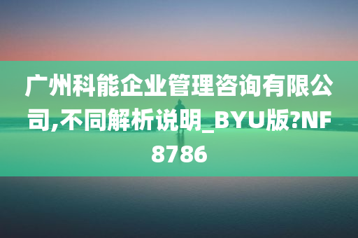 广州科能企业管理咨询有限公司,不同解析说明_BYU版?NF8786