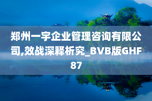 郑州一宇企业管理咨询有限公司,效战深释析究_BVB版GHF87