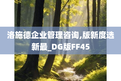 洛施德企业管理咨询,版新度选新最_DG版FF45