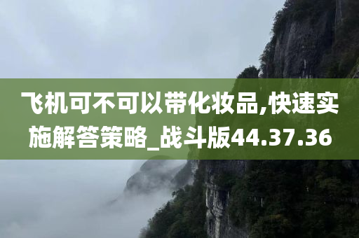 飞机可不可以带化妆品,快速实施解答策略_战斗版44.37.36