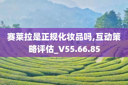 赛莱拉是正规化妆品吗,互动策略评估_V55.66.85