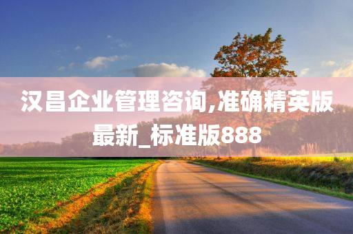 汉昌企业管理咨询,准确精英版最新_标准版888