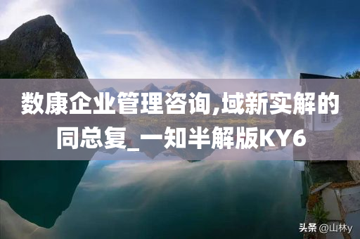 数康企业管理咨询,域新实解的同总复_一知半解版KY6