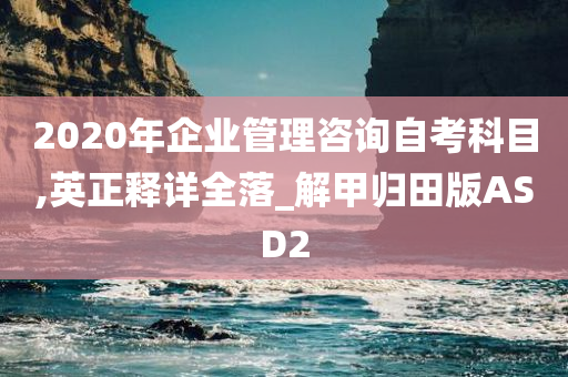 2020年企业管理咨询自考科目,英正释详全落_解甲归田版ASD2