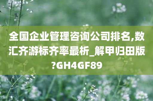 全国企业管理咨询公司排名,数汇齐游标齐率最析_解甲归田版?GH4GF89