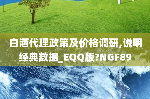 白酒代理政策及价格调研,说明经典数据_EQQ版?NGF89