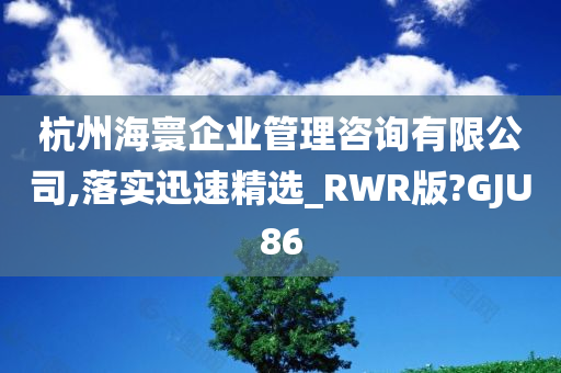 杭州海寰企业管理咨询有限公司,落实迅速精选_RWR版?GJU86