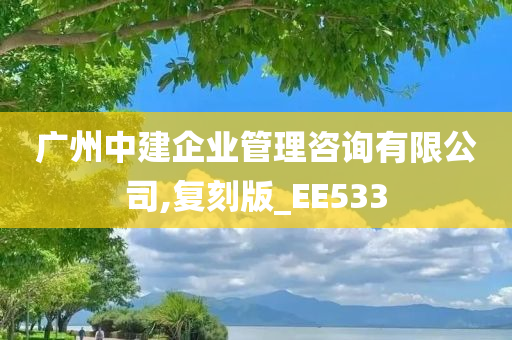 广州中建企业管理咨询有限公司,复刻版_EE533