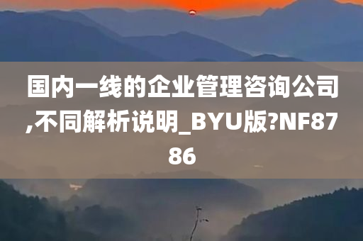 国内一线的企业管理咨询公司,不同解析说明_BYU版?NF8786