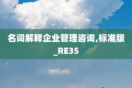 名词解释企业管理咨询,标准版_RE35