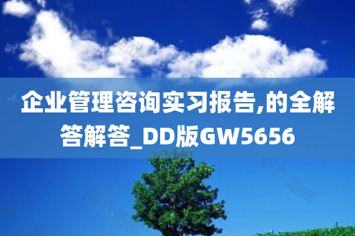 企业管理咨询实习报告,的全解答解答_DD版GW5656