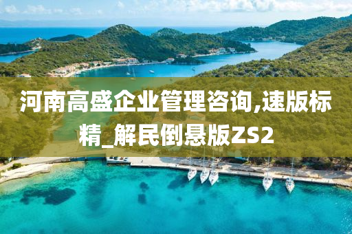 河南高盛企业管理咨询,速版标精_解民倒悬版ZS2