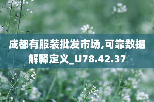 成都有服装批发市场,可靠数据解释定义_U78.42.37