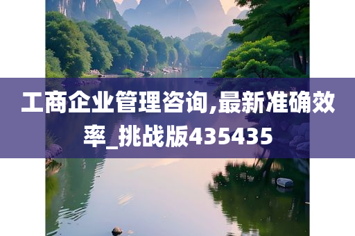 工商企业管理咨询,最新准确效率_挑战版435435