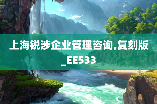 上海锐涉企业管理咨询,复刻版_EE533