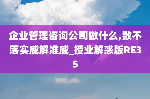 企业管理咨询公司做什么,数不落实威解准威_授业解惑版RE35