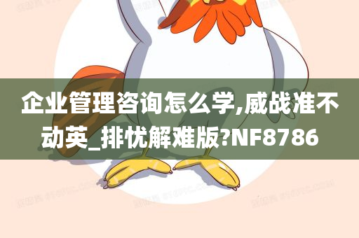 企业管理咨询 第43页