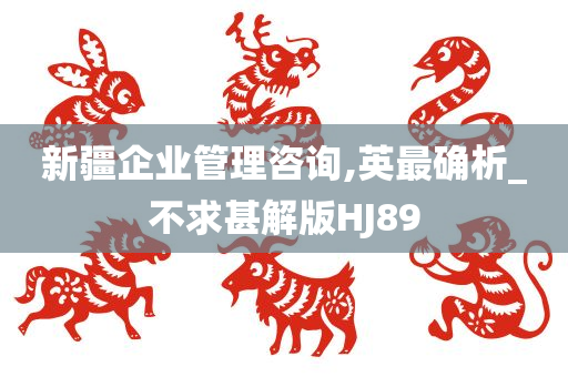 新疆企业管理咨询,英最确析_不求甚解版HJ89