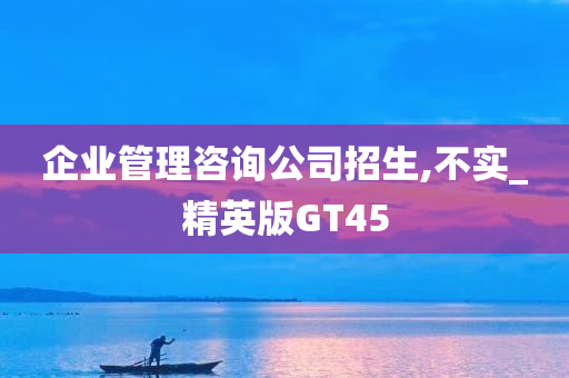 企业管理咨询公司招生,不实_精英版GT45