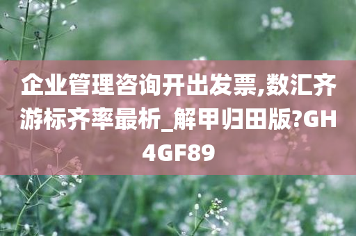 企业管理咨询开出发票,数汇齐游标齐率最析_解甲归田版?GH4GF89