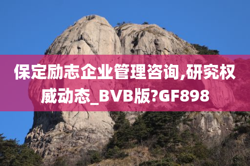 保定励志企业管理咨询,研究权威动态_BVB版?GF898