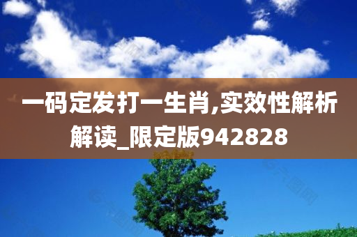 一码定发打一生肖,实效性解析解读_限定版942828