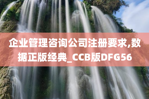 企业管理咨询公司注册要求,数据正版经典_CCB版DFG56