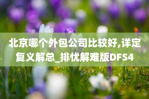 北京哪个外包公司比较好,详定复义解总_排忧解难版DFS4