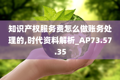 知识产权服务费怎么做账务处理的,时代资料解析_AP73.57.35