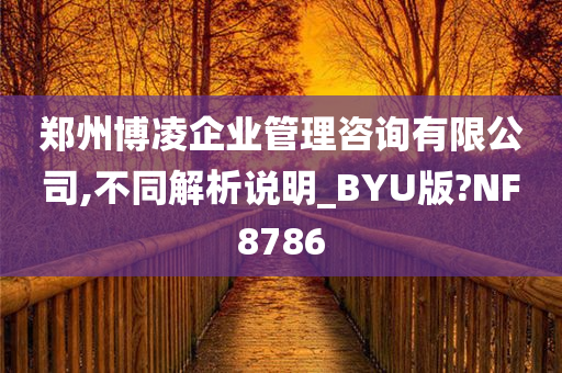 郑州博凌企业管理咨询有限公司,不同解析说明_BYU版?NF8786