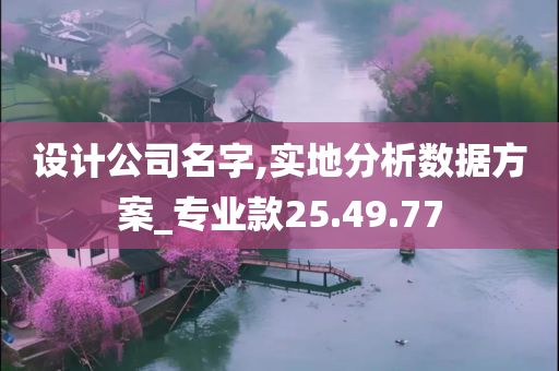 设计公司名字,实地分析数据方案_专业款25.49.77