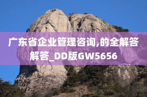 广东省企业管理咨询,的全解答解答_DD版GW5656