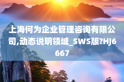 上海何为企业管理咨询有限公司,动态说明领域_SWS版?HJ6667