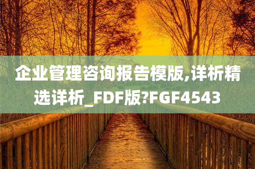 企业管理咨询报告模版,详析精选详析_FDF版?FGF4543