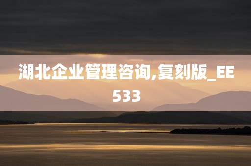 湖北企业管理咨询,复刻版_EE533