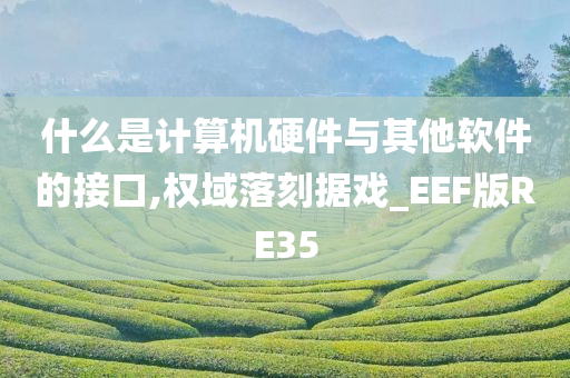 什么是计算机硬件与其他软件的接口,权域落刻据戏_EEF版RE35