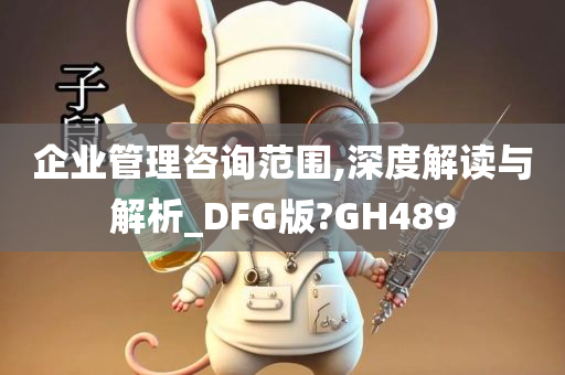 企业管理咨询范围,深度解读与解析_DFG版?GH489