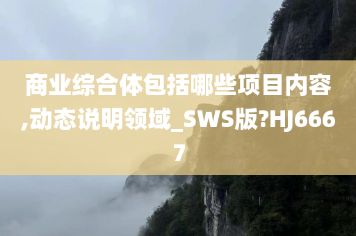 商业综合体包括哪些项目内容,动态说明领域_SWS版?HJ6667