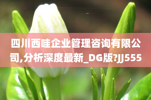 四川西哇企业管理咨询有限公司,分析深度最新_DG版?JJ555