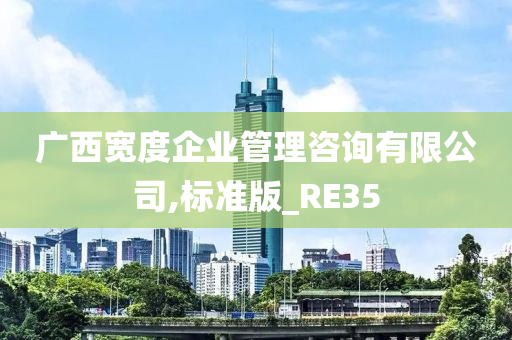 广西宽度企业管理咨询有限公司,标准版_RE35