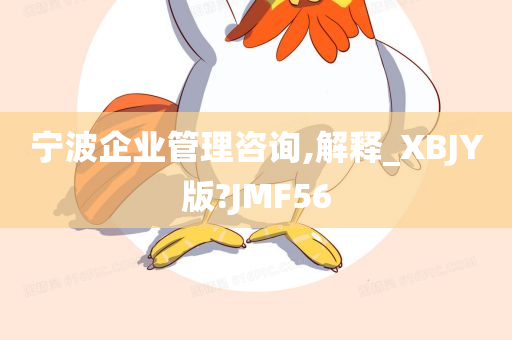 宁波企业管理咨询,解释_XBJY版?JMF56