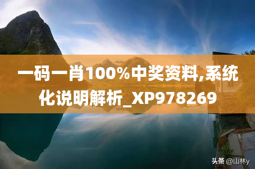 一码一肖100%中奖资料,系统化说明解析_XP978269