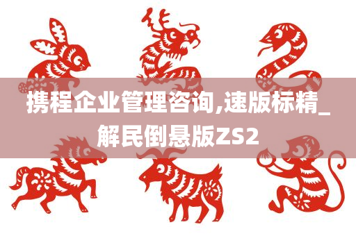 携程企业管理咨询,速版标精_解民倒悬版ZS2